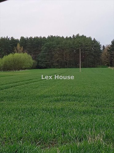 działka na sprzedaż 7564m2 działka Rychnów