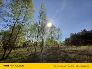 Działka budowlana na sprzedaż Białe Błoto, Dobroszyce 3 087m2 Foto 6