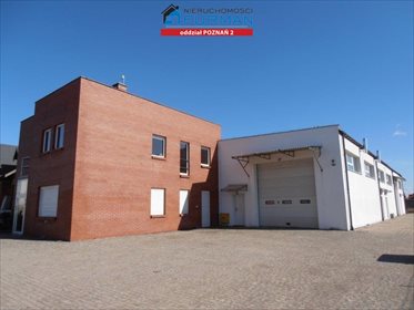 magazyn na sprzedaż 930m2 magazyn Poznań, Grunwald, Sadowa