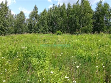 działka na sprzedaż 3005m2 działka Oddział