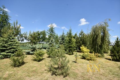 Działka siedliskowa na sprzedaż Kolonia Bystrzyca 1 300m2 Foto 4
