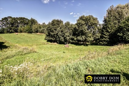 działka na sprzedaż 1300m2 działka Supienie