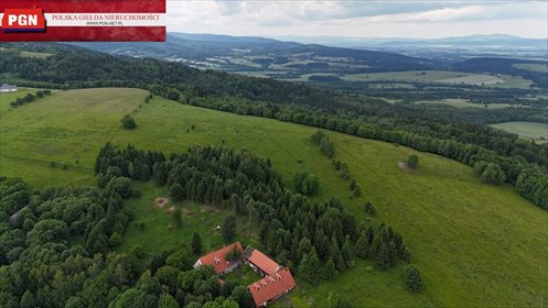 Działka 16 ha z widokiem na Śnieżnik i Kotlinę (ok. 1 ha budowlana) działka Międzylesie