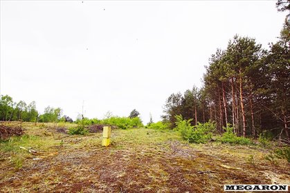 Działki budowlane w otulinie lasu, Grabówka, 2161 m2 działka Częstochowa, Grabówka