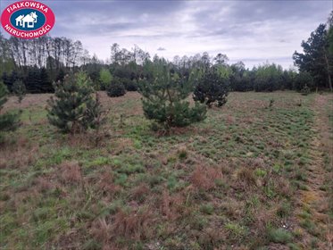 Działki budowlane 1254 m² w Krzyżówce - zapraszam działka Krzyżówka