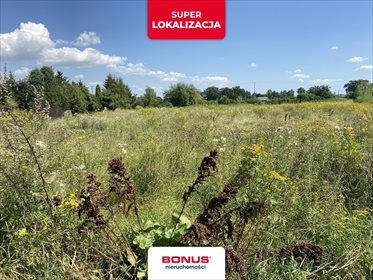 Działka budowlana na sprzedaż Nowe Gniewniewice 1 500m2 Foto 3
