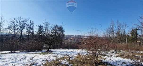 Działka inwestycyjna na sprzedaż Jasienica 20 427m2 Foto 6