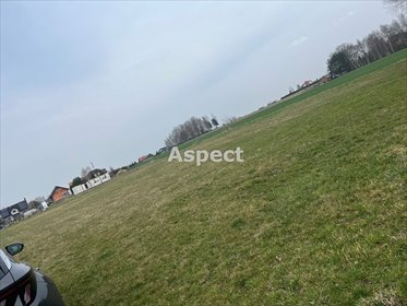 działka na sprzedaż 884m2 działka Gołkowice