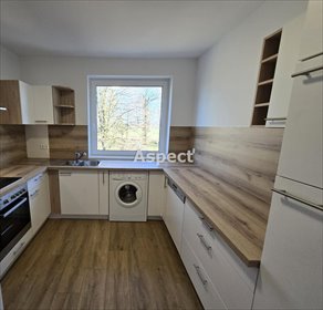 dom na wynajem 60m2 dom Pawłowice
