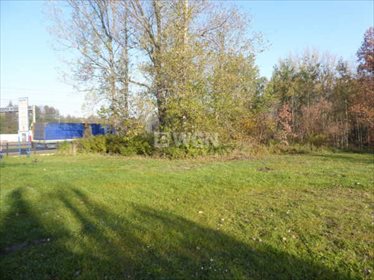 Działka inwestycyjna pod dzierżawę Romanów, Romanów, Romanów 1 000m2 Foto 3