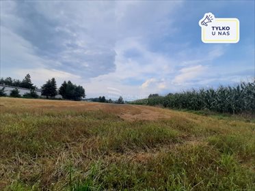 Działka rolna na sprzedaż Żurawieniec 22 500m2 Foto 1
