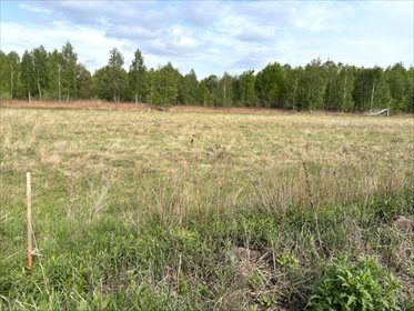 Działka 1000 m² pod dom w Pustelniku - zapraszam działka Pustelnik, Spacerowa