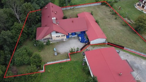 lokal użytkowy na sprzedaż 500m2 lokal użytkowy Radgoszcz