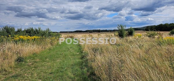 Do sprzedania działka 1577 m² pod zabudowę mieszkaniową i usługową działka Dobromierz
