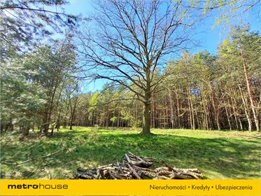 Działka budowlana na sprzedaż Białe Błoto, Dobroszyce 3 087m2 Foto 7
