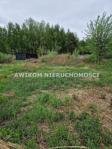 Działka budowlana 1000 m² w spokojnej okolicy Jaktorowa działka Jaktorów, Budy-Grzybek