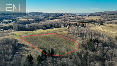 działka na sprzedaż 8800m2 działka Huta Gogołowska