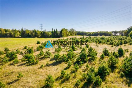 działka na sprzedaż 52678m2 działka Skorzewo
