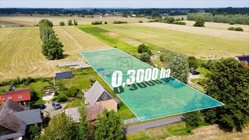 Działka 3000 m² w Boleminie (prostokąt, płaska, z dostępem do asfaltu) działka Bolemin