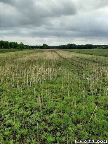 działka na sprzedaż 8609m2 działka Ostrowy nad Okszą