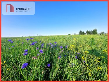Działka 1250 m² z warunkami zabudowy - polecam działka Objezierze