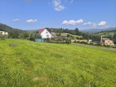 Działka budowlana 1500 m² w Szare z widokiem i mediami działka Szare