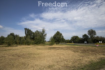 działka na sprzedaż 4694m2 działka Nisko, Willowa