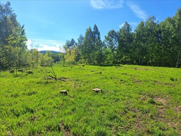 Działka budowlana 124 m² w Małej Kamienicy - zapraszam działka Mała Kamienica