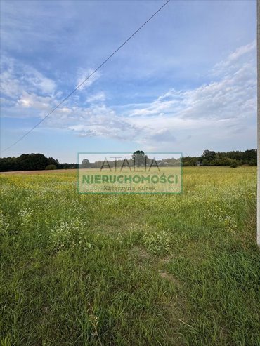 Działka 3000 m2 z planem pod zabudowę jednorodzinną działka Wężyk