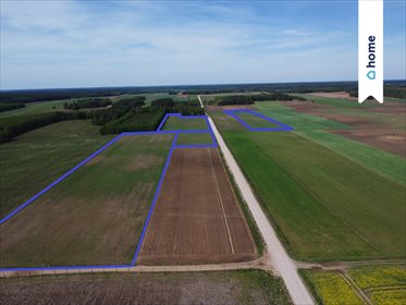 11,2 ha ziemi w Wierzchlesie - atrakcyjna cena. działka Wierzchlesie