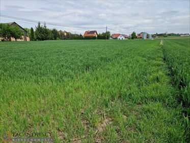 działka na sprzedaż 2400m2 działka Sieciechowice