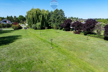 działka na sprzedaż 14731m2 działka Kobylniki, Zorza