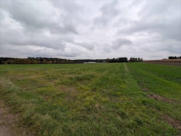 działka na sprzedaż 7393m2 działka Lisków, Niedzież