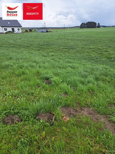 działka na sprzedaż 3047m2 działka Kotomierz