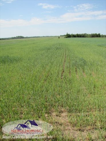 Działka rolna na sprzedaż Piasek Mały 17 600m2 Foto 1