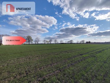 Działka budowlana w Wiśniewie z warunkami zabudowy działka Wiśniewa