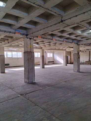 Magazyn 593 m² w Sosnowcu, dostęp z rampą - polecam! magazyn Sosnowiec, Pogoń, Ptasia