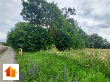 Działka siedliskowa 3000 m² z mediami i lasami działka Tetyń