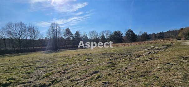 działka na sprzedaż 2679m2 działka Rybnik, Kamień pod Rzędówką