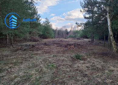 działka na sprzedaż 8466m2 działka Prace Duże