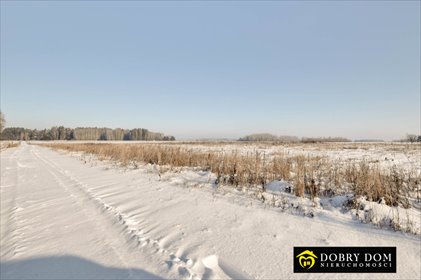 działka na sprzedaż 1000m2 działka Kuriany