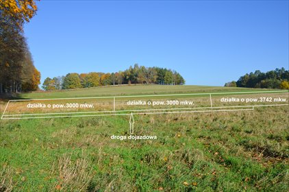 działka na sprzedaż 3000m2 działka Borkowo