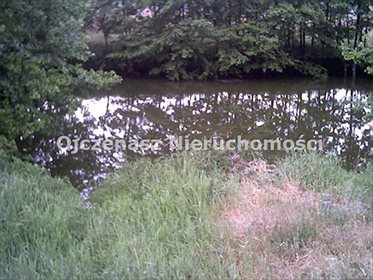 działka na sprzedaż 33457m2 działka Solec Kujawski