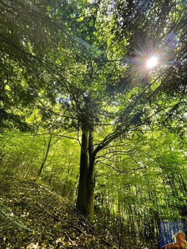 działka na sprzedaż 17905m2 działka Mordarka