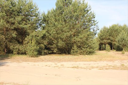 działka na sprzedaż 1003m2 działka Sława