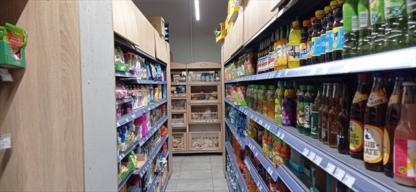 Lokal użytkowy na wynajem Łomianki, Dąbrowa Zachodnia, Zachodnia 40 268m2 Foto 7