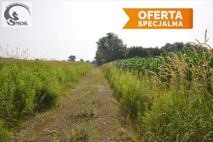 Działka rolna na sprzedaż Zakrzowiec 9 715m2 Foto 3