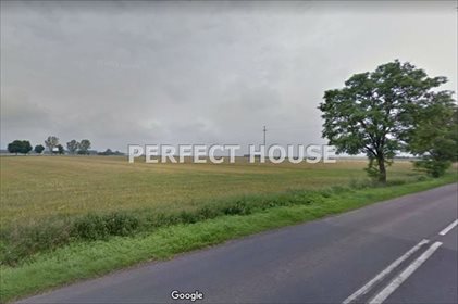 działka na sprzedaż 16600m2 działka Będlewo