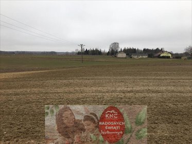 działka na sprzedaż 18400m2 działka Tomaszowice