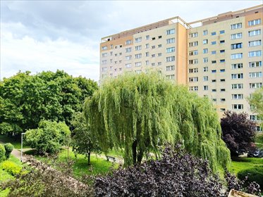 mieszkanie na sprzedaż 31m2 mieszkanie Szczecin, Grabowo, 1 Maja